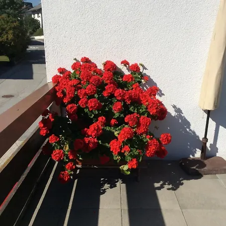 In - Tirol 711 Apartment