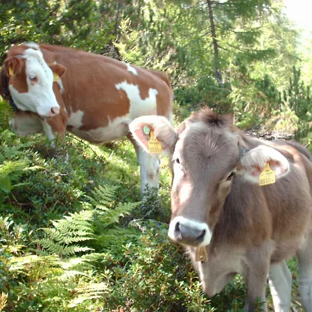 In - Tirol 711 Apartamento *